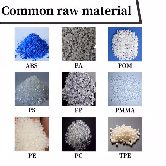 Custom Plastic Product Plastic Parts Injection Molding Service