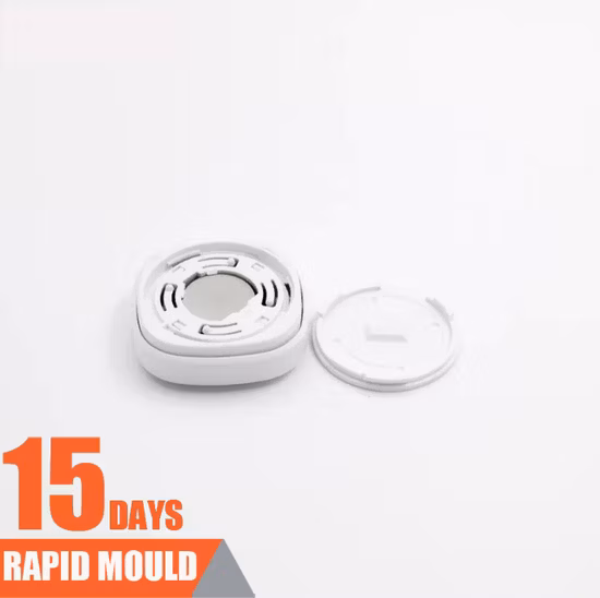 Kundenspezifisches Design zur Entwicklung neuer Modelle von Kunststoffspritzgussteilen